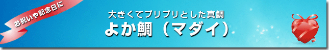 大きくてプリプリとした真鯛(タイ)