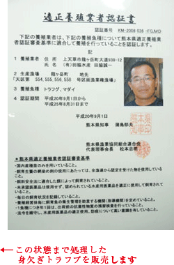 資格