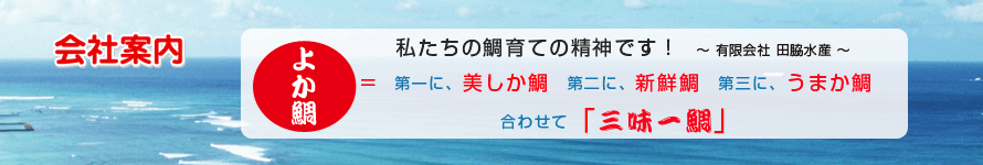 田脇水産の会社案内